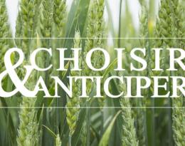 "choisir & anticiper " sur un fond de blé