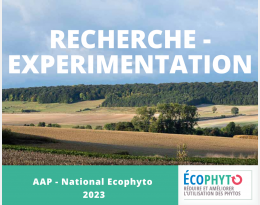 Recherche - Expérimentation - AAP National Ecophyto 2023