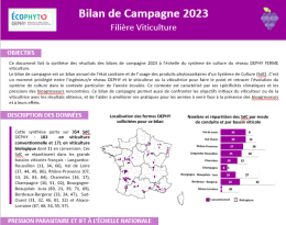 Bilan de campagne viticulture 2023