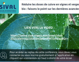 Conférence SIVAL - réduction du cuivre
