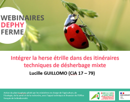 Webinaire "Intégrer la herse étrille dans des itinéraires techniques de désherbage mixte"