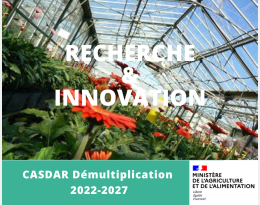 HEALTHI 2 : Accompagner l’usage des médiateurs chimiques par le développement d’une stratégie de biocontrôle "push-pull" contre le thrips en cultures sous serre