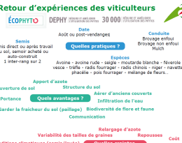 EV_retour expérience et MERCI