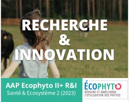 Projet SEMSOP
