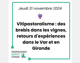 vitipastoralisme