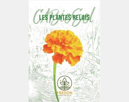Gros plan de fleur d'oeillet d'inde sur fond en transparence végétalisé