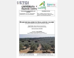 RAPPORT 2024 FUCHS, H., Etude des maladies du feuillage de l'olivier