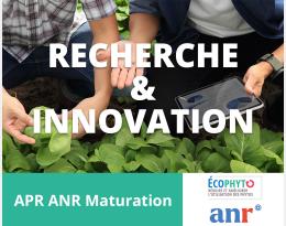Journée Ecophyto Maturation 2024