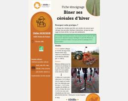 Le binage des céréales peut être une solution de secours pour rattraper une parcelle infestée lorsque la herse étrille n’a pas été efficace ou que les conditions météo n’ont pas permis le passage de l’outil. En adaptant sa bineuse utilisée pour les cultures de printemps et en anticipant un bon écartement dès le semis, cette pratique peut demander des coûts d’investissement moindre ! Attention, comme pour toute opération de désherbage mécanique, biner ses céréales s’anticipe dès le semis ! 