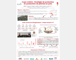 Stratégie de protection en production de plantes en pots