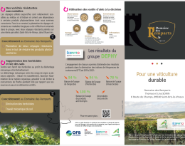 Visuel Remparts