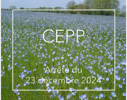 arrêté cepp 23 déc 24