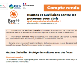 Quel usage des bandes fleuries ? Intérêts et limites
