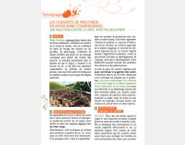 Miniature du document PDF