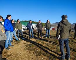 Rencontre avec des producteurs de cerises dans les monts du Lyonnais