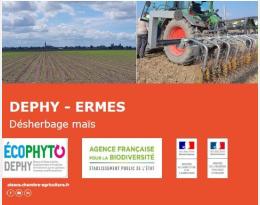 Alternative au désherbage chimique du maïs