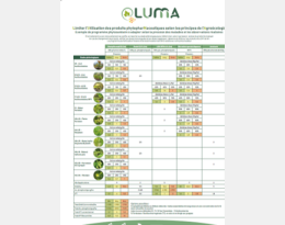 Calendrier LUMA
