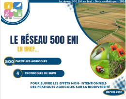 en bref