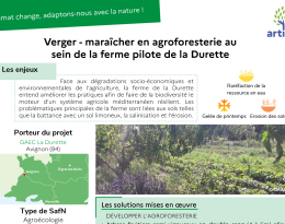 fiche SFN Durette 2024