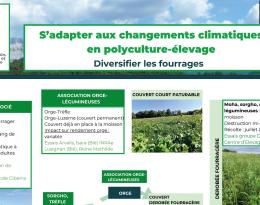 Poster dérobées fourragères : s'adapter au changement climatique