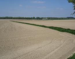 eau pesticides