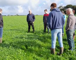 Echanges dans une parcelle d'herbe