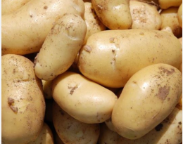 Pomme de terre