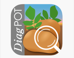 Diagpot
