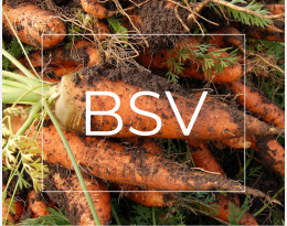 BSV Leg Bretagne