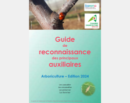 Guide 1ère page