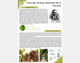 Fiche sur la visite des variétés résistantes de Charente