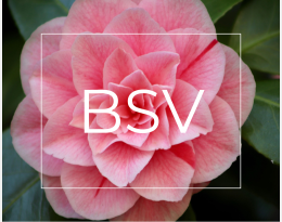 BSV Bretagne cultures ornementales