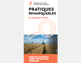 Semer des couverts avant récolte des céréales