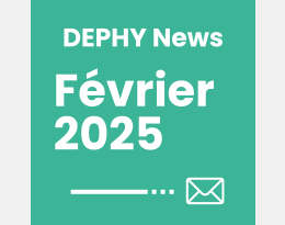 DN février 2025