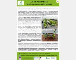 Vue de la fiche témoignage