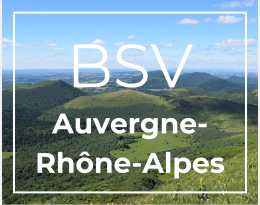 BSV AURA