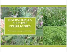 Présentation dérobées fourragères Colloque 2024