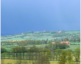 Paysage agricole