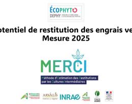 Engrais verts : MERCI 2025