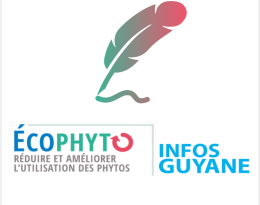 Infos Guyane