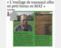 Diversification des cultures : l'ensilage de tournesol, un petit bonus de MAT