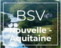BSV Nouvelle-Aquitaine