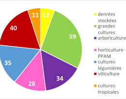 Graphique en camembert représentant le nombre de CEPP par filière