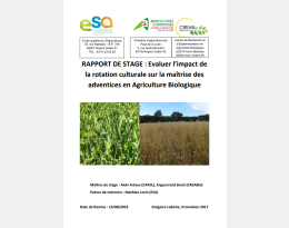 RAPPORT DE STAGE : Evaluer l’impact de la rotation culturale sur la maîtrise des adventices en Agriculture Biologique