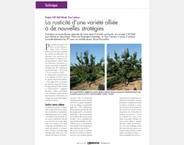 La rusticité d’une variété alliée