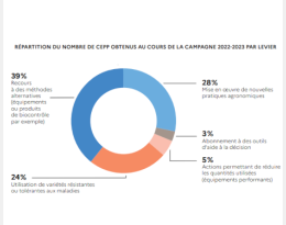 Graphique représentant le nombre de CEPP obtenus