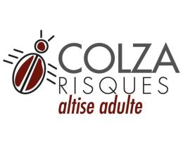 logo OAD colza risques lié aux altises adultes - Terres Inovia
