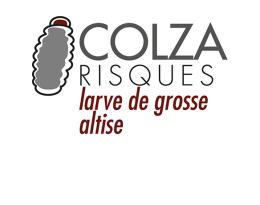 logo OAD colza risques larves de grosse altise - Terres Inovia