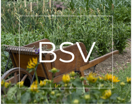BSV JEVI PdL