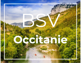 BSV Occitanie